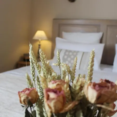 Bed & Breakfast Cothy En Provence Roquemaure (Gard)